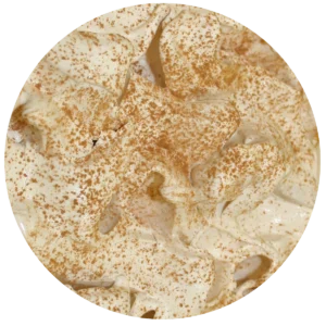 Ricotta e Cannella